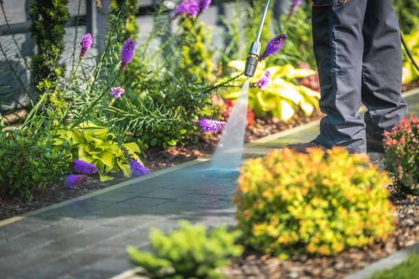 Reliable Santa Maria, CA Pressure Washing Solutions